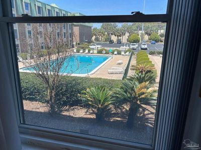 224 E Garden St APT 204, Pensacola, FL, 32502