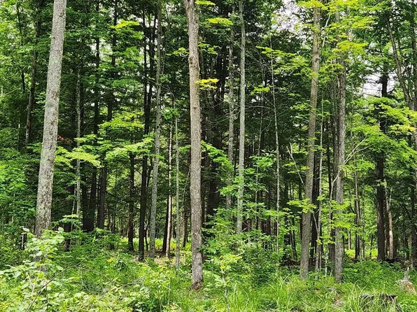 NO NAME ROAD #NE1/4 NE1/4 + SE1/4, Merrill, WI 54452