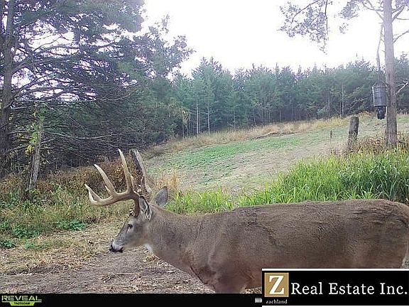 3rd image of 2703 Linwood Rd
