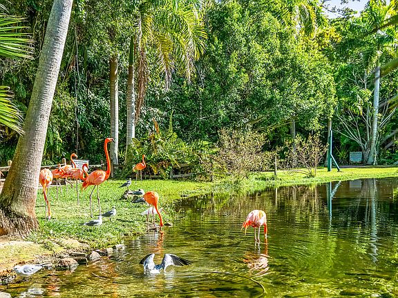 Close to Sarasota Jungle Gardens R