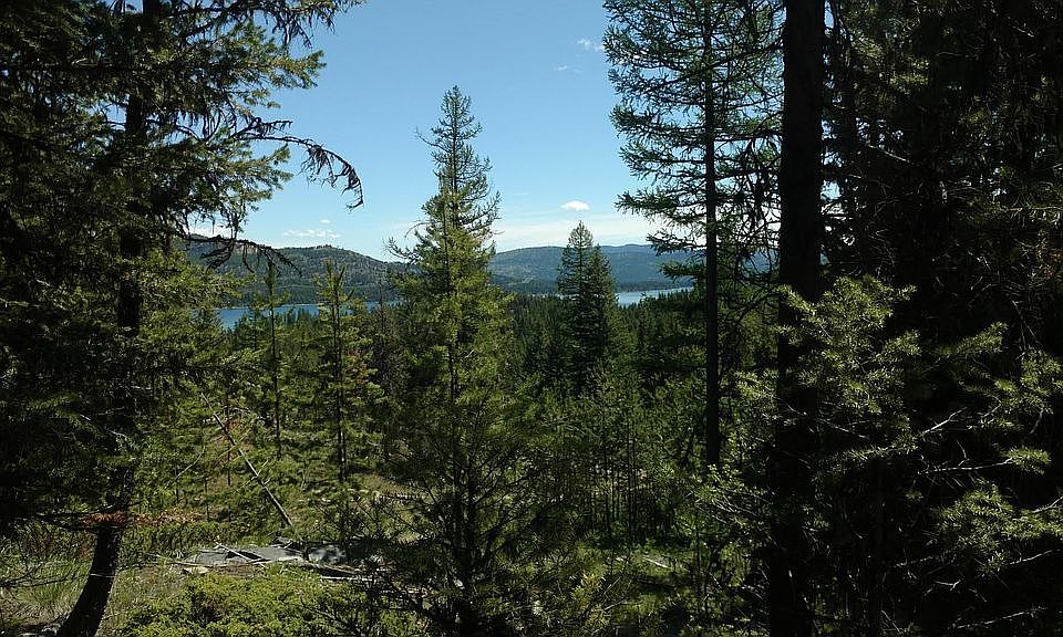 1st image of 720 Lodgepole Dr