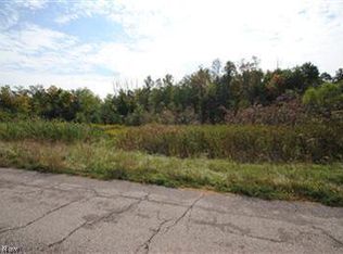 4640-S/L Autumn Run Dr #12, Medina, OH 44256