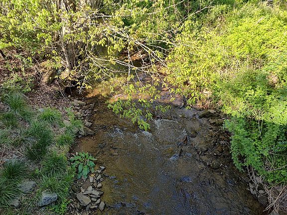 5th image of 0 Smith Hill Rd