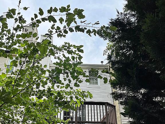 2nd image of 14318 Watery Mountain Ct