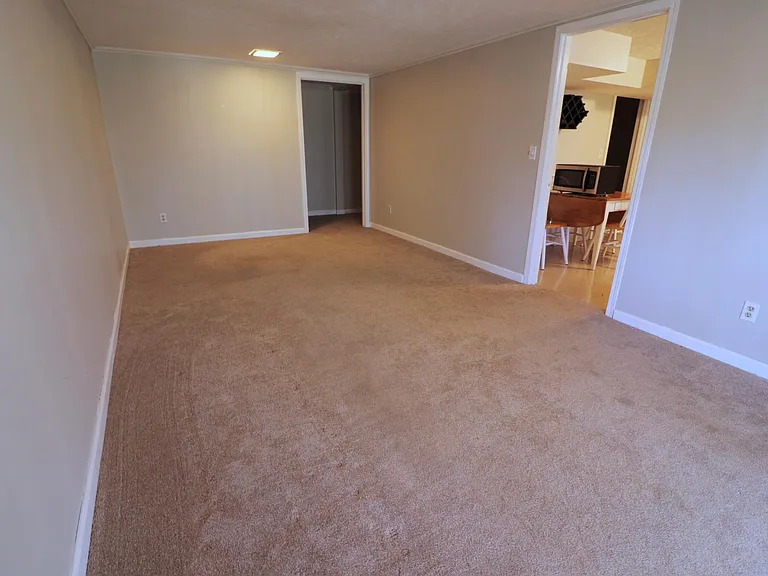 Large Living Room