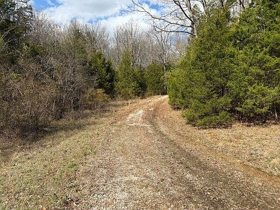 4th image of 14 Hamilton Lee Rd