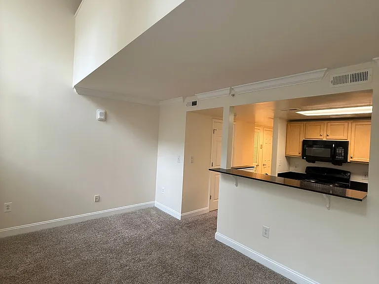 Standard — Photo 23