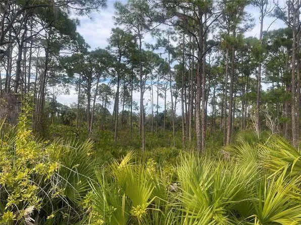 12144 Judson Avenue, Port Charlotte, FL 33953