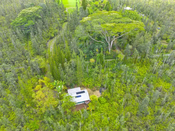 16-1813 Opeapea Rd, Mountain View, HI 96771