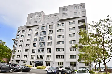 Sold by Holly's Staten Island Buzz