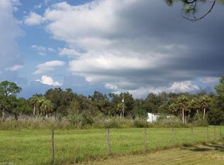 2484 Bee Branch Lakes Dr, Labelle, FL 33935