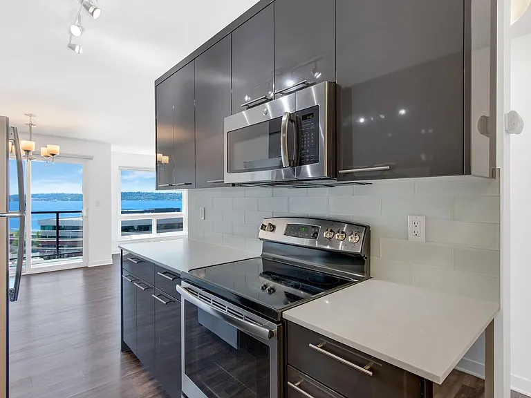 The Puget Vista Apartments — Photo 16