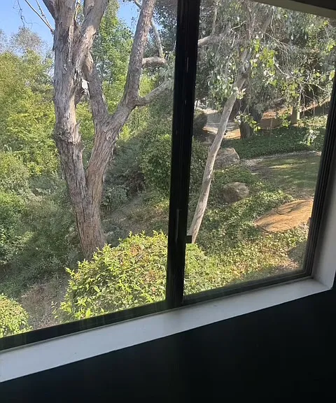 view out of top floor bedroom