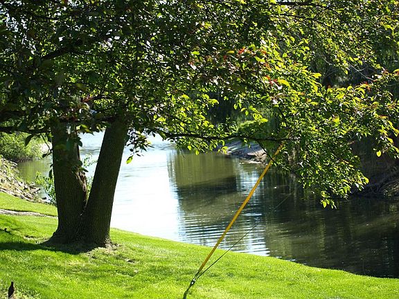 another view from the back of the house