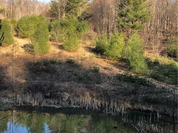 TBD (35.93 acres) Parson Hill Road, Lansing, NC 28643