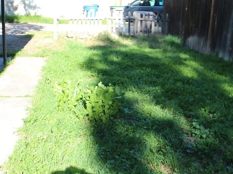 1409 N 7th St #1409 — Photo 3