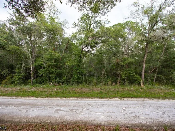 7398 Southeast Ave, Webster, FL 33597