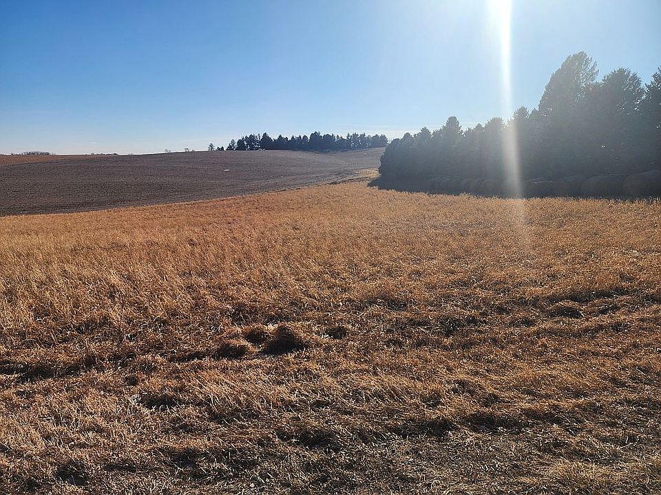 View looking south