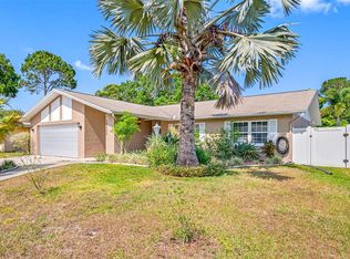 14305 Chaparell Pl, Tampa, FL 33625