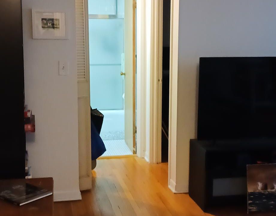 1st image of 420 W Aldine Ave APT 307
