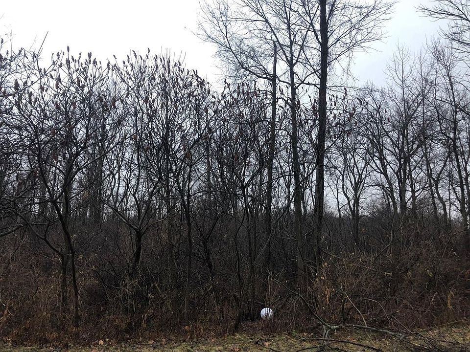 2nd image of 486 Whitewood Dr
