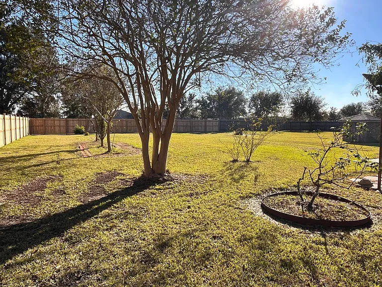 Back yard