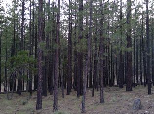 490 Tranquility Trl LOT 82, Forest Lakes, AZ 85931