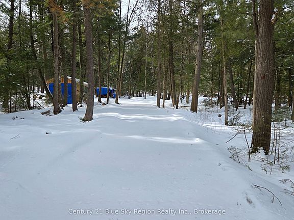 3rd image of 97 Maple Rd