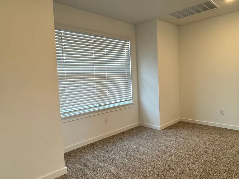 2516 Liam Aurora Ln — Photo 13