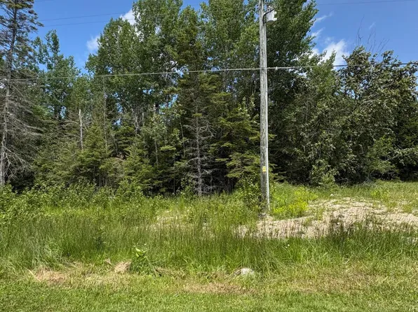 1207 S Hill Island Rd #3, Cedarville, MI 49719