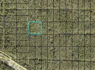 Xx Ruth Ave LOT 6, Hastings, FL 32145
