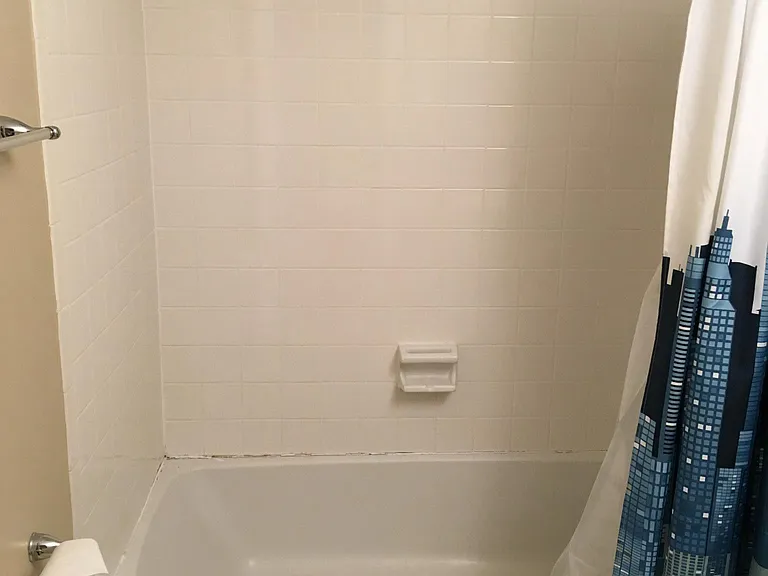Master bathroom tub