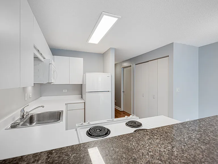 2 E Erie St #1804 — Photo 10