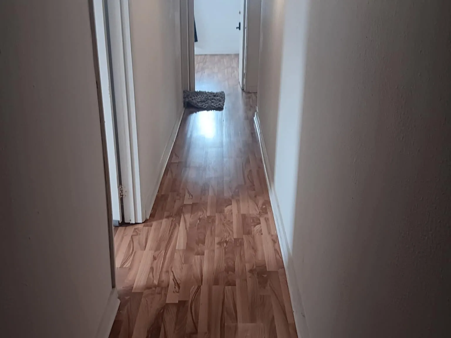 1 bed, $750 — Photo 3