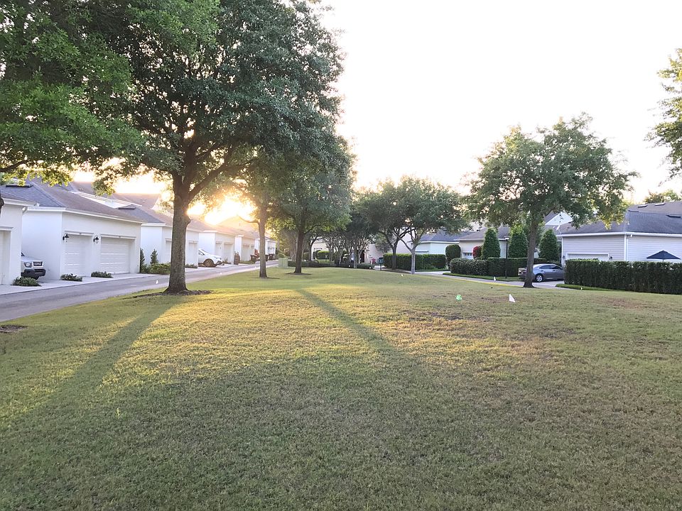 Green Space behind Home