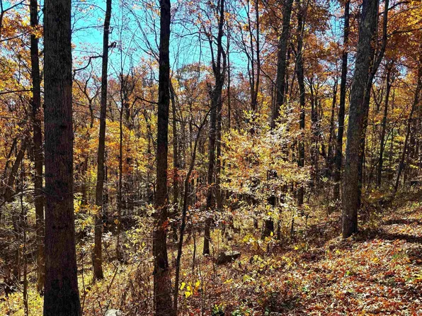 107 Firtree Dr, Roseland, VA 22967