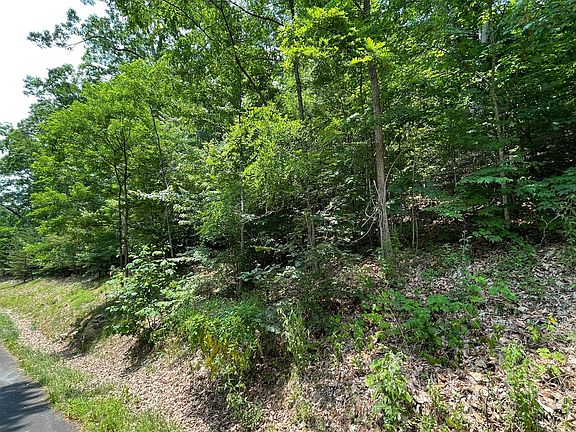 4th image of L-20 Bald Eagle Dr