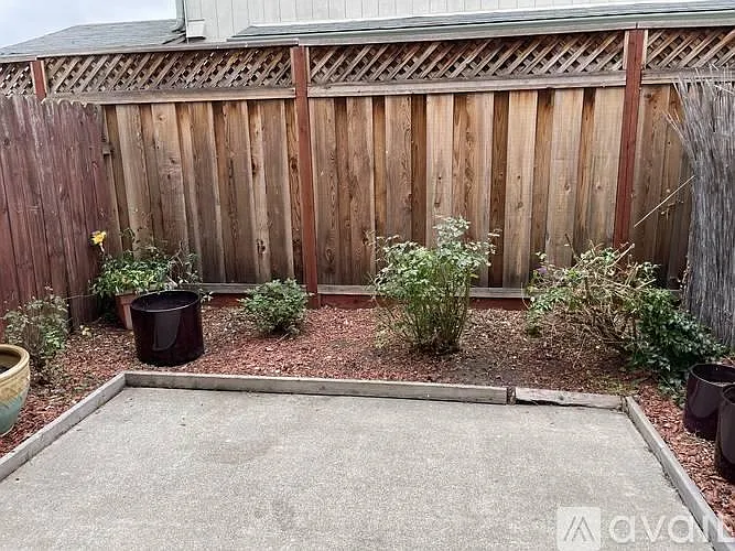 36875 Sycamore St — Photo 8