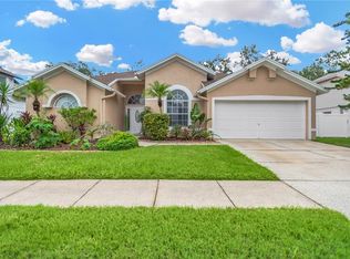 9806 Sunnyoak Dr, Riverview, FL 33569
