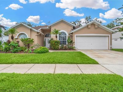 9806 Sunnyoak Dr, Riverview, FL, 33569