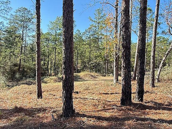 2nd image of R031928 Inglewood Dr