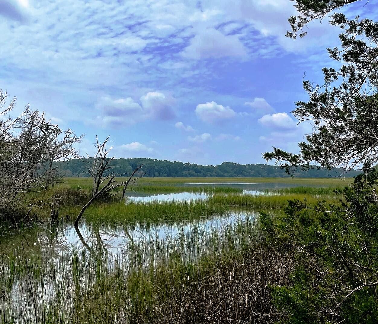 LOT D Toogoodoo Rd 2, Hollywood, SC 29449 MLS 23015208 Zillow