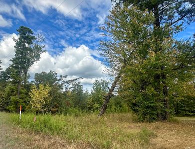 Highway 4 W, Cove, AR, 71937