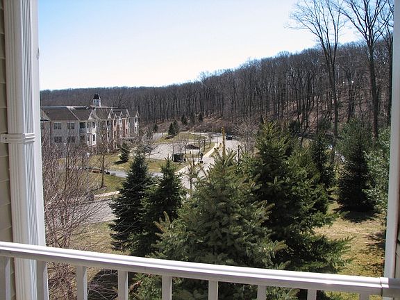 A View from the Deck.