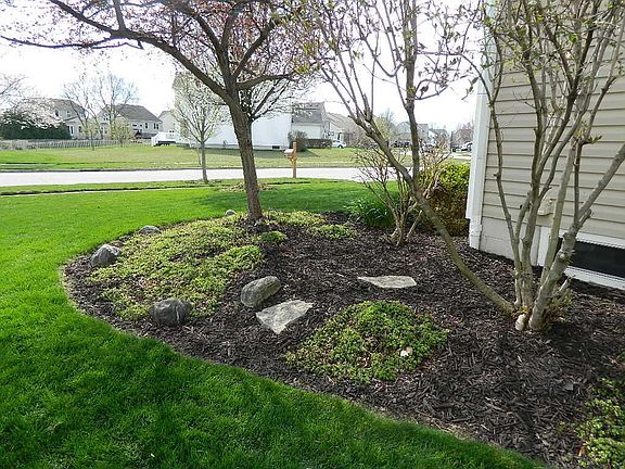 4th image of 3626 Natalie Dr