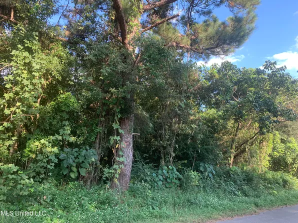 W Malley Rd Lot 21, Pass Christian, MS 39571