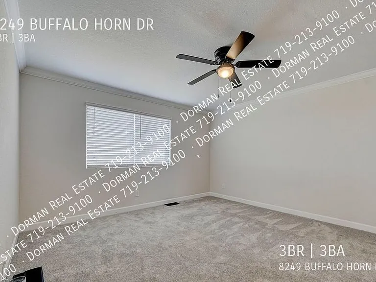8249 Buffalo Horn Dr — Photo 13