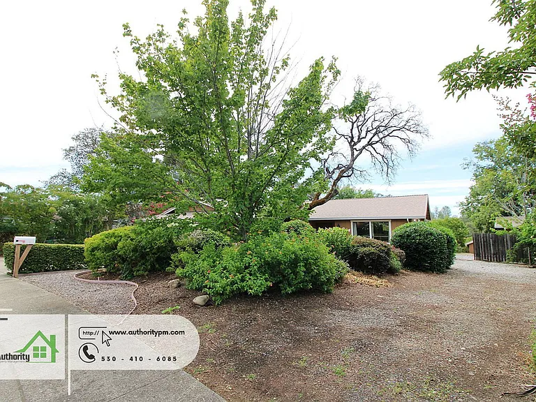 3345 Golden Heights Dr — Photo 2