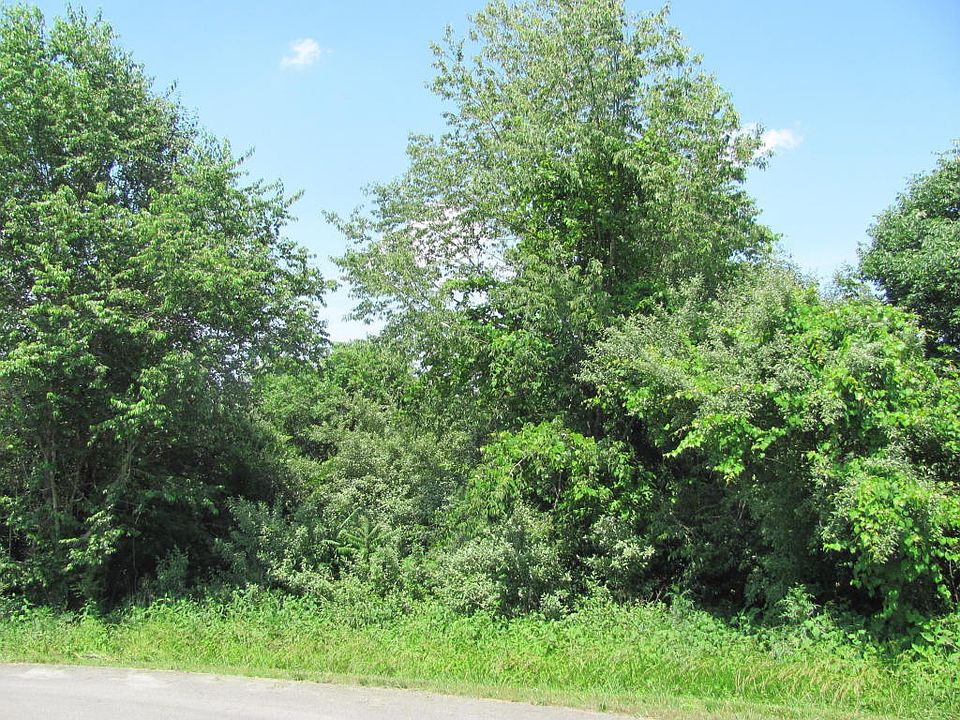 2nd image of 118 Wataga Ln