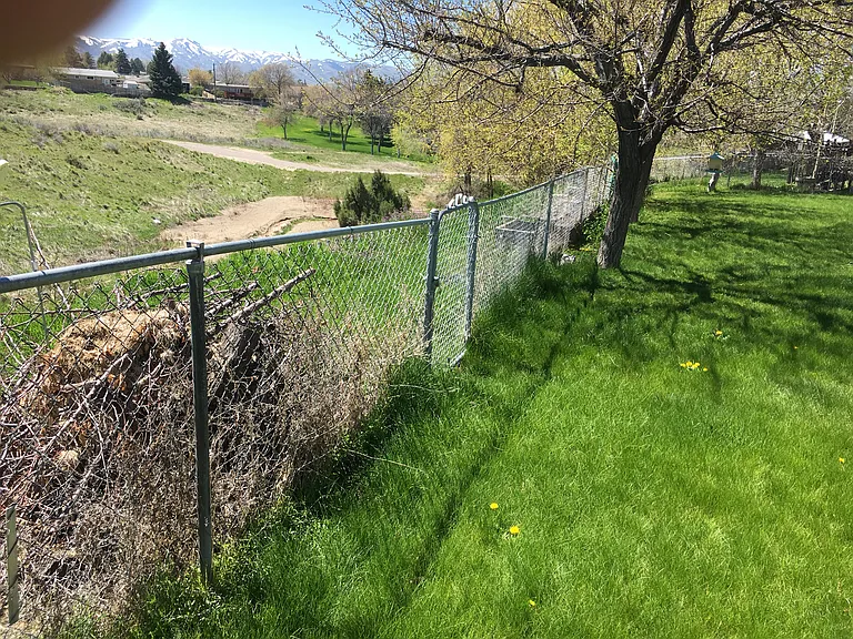 Park Ln — Photo 77